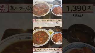 新潟5大ラーメン　三条カレーラーメン　大衆食堂　正広様