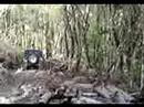 Aventura de Land Rover