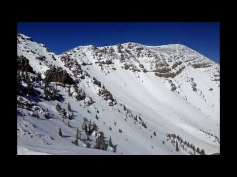 Coconino National Forest