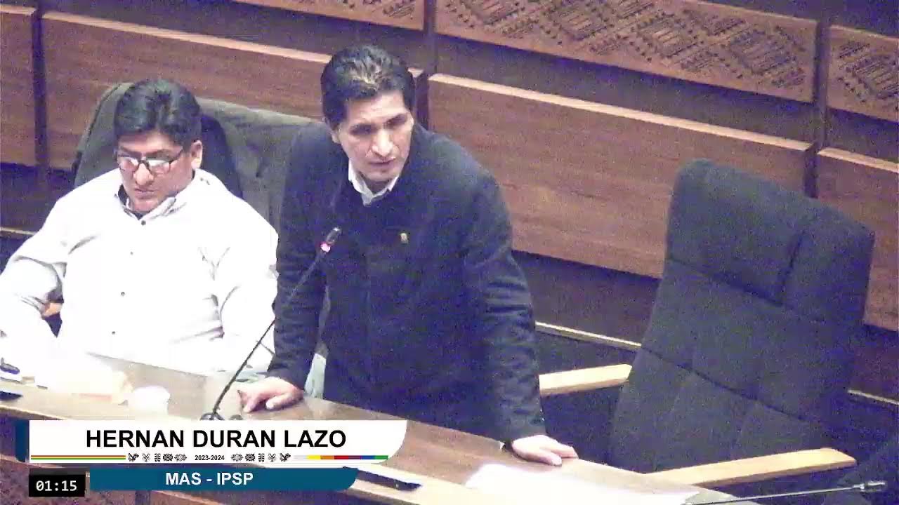 207a Sesión Ordinaria - 17/10/24