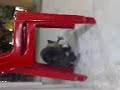 Cat Mating