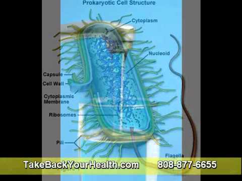 how to eliminate systemic inflammation