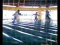Infleble-Parque-de-l
