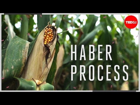 process - View full lesson: http://ed.ted.com/lessons/the-chemical-reaction-that-feeds-the-world-daniel-d-dulek How do we grow crops quickly enough to feed the Earth's...
