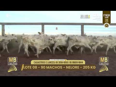 9� MEGA LEIL�O DA MB LEIL�ES