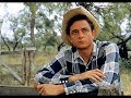 Johnny Cash Tribute