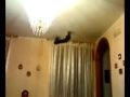un breve volo in tutto relax ,seduti sul divano di casa,con il piccolo picooz tandem z1 della silverlit.