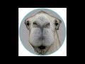 Out now on Cityfox (CF004RMX): Lee Jones - Closed Circus remixed by Mark Henning, Digitaline and Nick Höppner