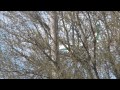 Spotting at John F. Kennedy International Airport - April 30, 2011