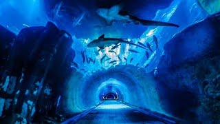 Am I talking to banana?! 