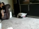 OMGILUVSAMMY2 :)