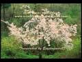 Only Hope - Mandy Moore (Piano Accompaniment) transcribed by Engjengneer23