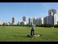 stop motion video 1 (?????????????)