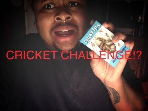 EATING CRICKETS FOR 5K?!?! | The Cricket Challenge