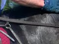 cheval un jour cheval toujours