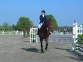 cheval un jour cheval toujours