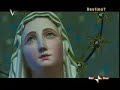 voyager airton senna un destino gia\ voyager airton senna un destino gia\