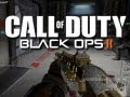Black Ops 2 - Having Fun with Strangers #4! (Campfire Song Song!)