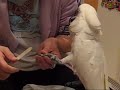 Baby, Umbrella Cockatoo Baby, Umbrella Cockatoo