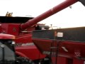 case ih 9120 18 row drago chopping corn head