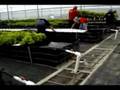 AQUAPONICS ACUAPONIA MEXICO