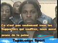 LES LEOPARDS DEMANDENT PARDON