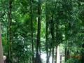 Kenyir Lake ( Music: Elizabethan  Serenade)