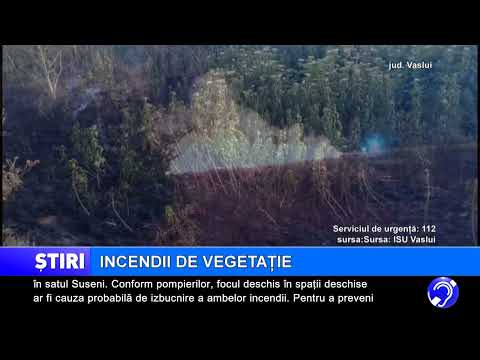 Incendii de vegetație