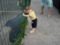 Atravessando a Rua
