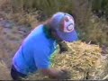 Baling at Shrams