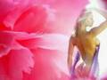 clip video Anne Sylvestre Ah La Vague