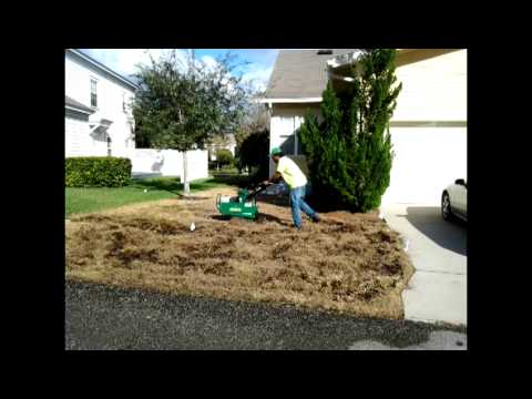 how to fertilize st augustine grass