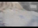 Book trailer - Hollywood tough (Book 3) Book trailer - Hollywood tough (Book 3)