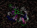 Dynamics of a Miniprotein Dissolved in Water Dynamics of a Miniprotein Dissolved in Water