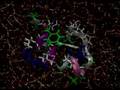 Dynamics of a Miniprotein Dissolved in Water