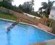 MOKBAKclan piscine
