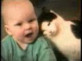 gatos chistosos