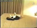 gatos chistosos