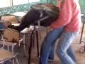 estos son dos putos que vam al colegio todo el dia se la pasan cojiendo entre ellos son re putos
