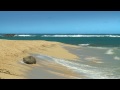 Beaches Ocean Waves # 72 -Monk Seal on Turtle Bay Resort Beach, North Shore, Oahu, - Kawela Bay