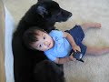 Timmy and Sampson just hanging out