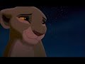 The Lion King II - When chemicals react The Lion King II - When chemicals react