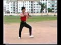 Gwongdung naamkyun (广东南拳) - Southern styles from Guangdong