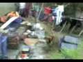 videos de lola pelota
