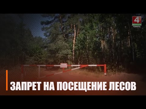На Гомельшчыне пажаранебяспечная абстаноўка стала больш складанай видео