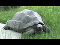 SIOUX FALLS- GREAT PLAINS ZOO
