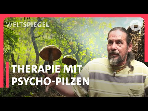 Mexiko: Können Pilze "Magic Mushrooms" der Psyche helf ...