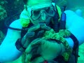Petting The Octapus Petting The Octapus