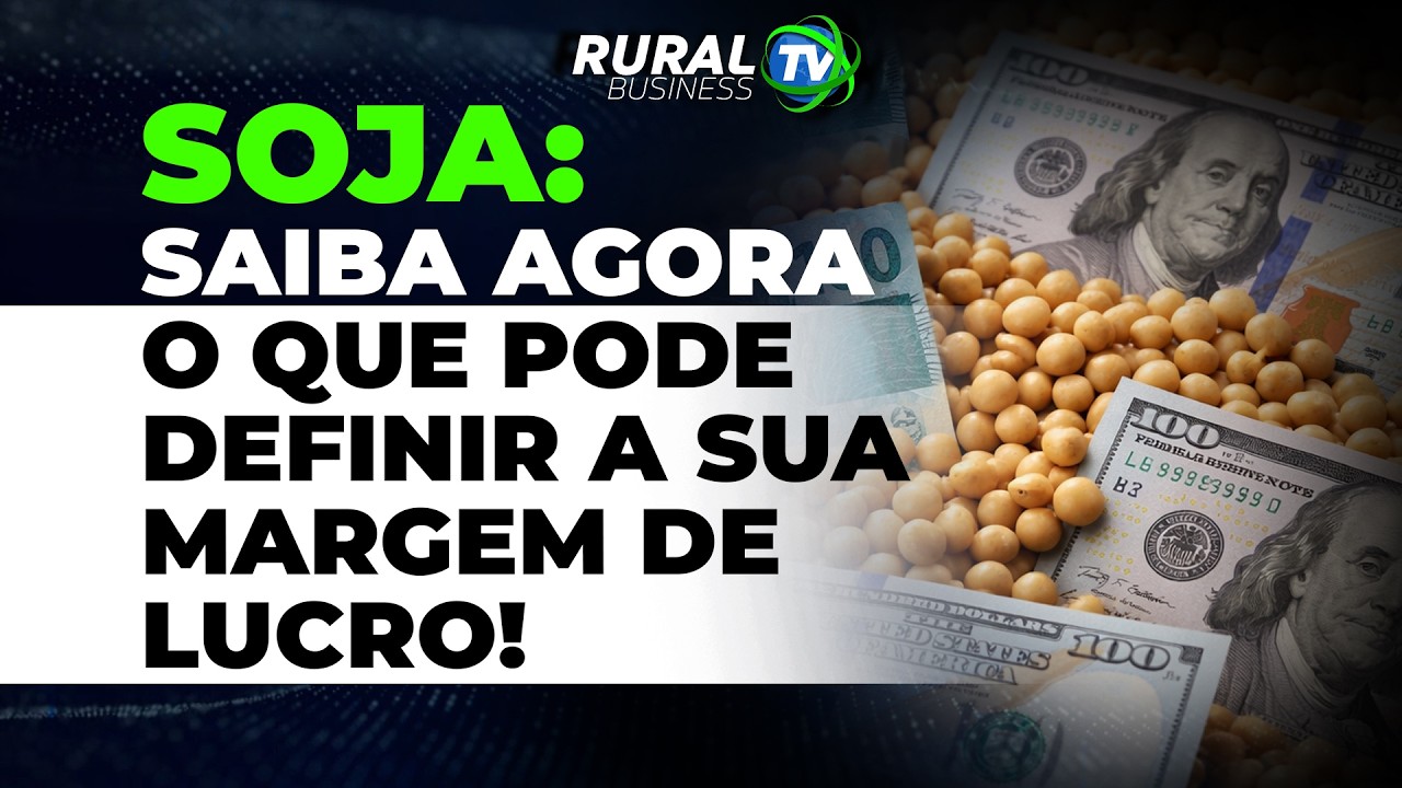 SOJA: SAIBA AGORA O QUE PODE DEFINIR A SUA MARGEM DELUCRO!