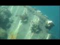 videos de Lusong Wreck
